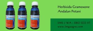 herbisida,herbisida gramoxone,budidaya tanaman,racun rumput,petani,lmga agro