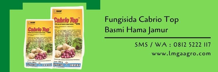 fungisida,budidaya tanaman,cabrio top,pertanian,obat hama,petani,pestisida,lmga agro