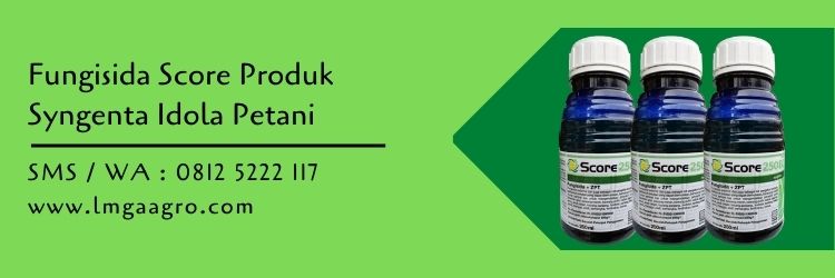 fungisida,fungisida score,budidaya tanaman,pertanian,pestisida,budidaya tanaman,lmga agro