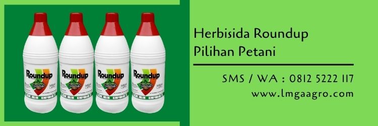 herbisida,hama tanaman,gulma,pestisida,herbisida roundup,petani,lmga agro