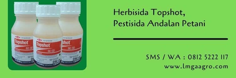 herbisida,herbisida Topshot,budidaya tanaman,pestisida,tanaman gulma,gulma,pertanian,petani,lmga agro