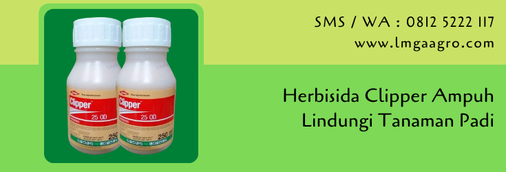 herbisida,herbisida clipper,budidaya tanaman,pertanian,gulma,tanaman gulma,lmga agro