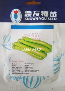 Terong Marry, Terong Marry F1, Benih Terong Marry, Jual Terong Marry F1, Terong Hijau Marry, Benih Terong Marry Murah, Jual Benih Terong Marry, Tanaman Terong Marry, Known You Seed, Lmga Agro