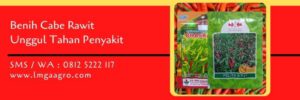 benih cabe rawit unggul tahan penyakit,benih cabe,budidaya cabe,cabe rawit,bibit cabe,lmga agro