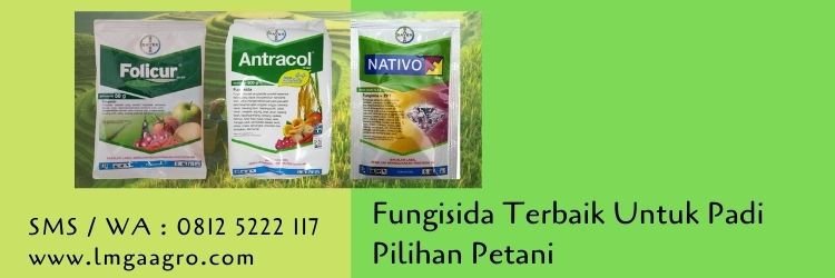 fungisida terbaik untuk padi,fungisida,tanaman padi,budidaya tanaman,petani,lmga agro