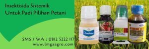 insektisida sistemik untuk padi,insektisida sistemik,tanaman padi,budidaya tanaman padi,petani,lmga agro
