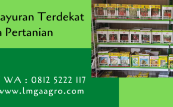toko bibit sayuran terdekat,toko pertanian,toko online,bibit sayuran,lmga agro