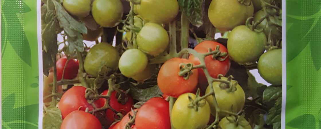 Jual Benih Servo Merajai Pasar Tomat Sayur
