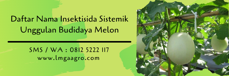 Daftar Nama Insektisida Sistemik Unggulan Budidaya Melon