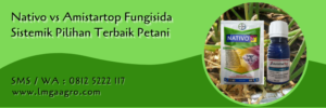 nativo vs amistartop,fungisida,pestisida,petani,budidaya tanaman