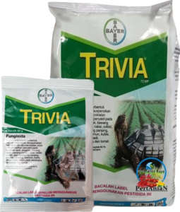 Fungisida untuk tomat di musim hujan,fungisida,fungisida bayer