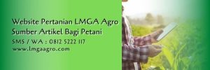 website pertanian lmga agro,lmga agro,website pertanian,artikel pertanian,blog pertanian