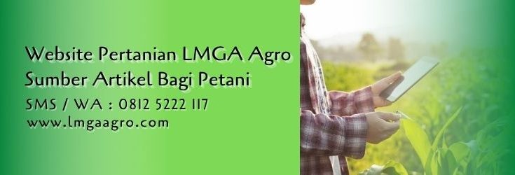 website pertanian lmga agro,lmga agro,website pertanian,artikel pertanian,blog pertanian