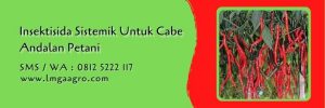 insektisida sistemik untuk cabe,insektisida,pestisida sistemik,petani cabe,lmga agro