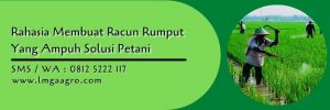rahasia membuat racun rumput yang ampuh,racun rumput,herbisida,racun rumput paling kuat,lmga agro