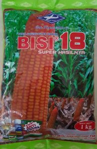 benih jagung,jagung hibrida,jagung BISI 18