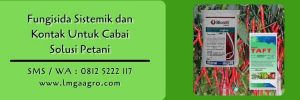 Fungisida sistemik dan kontak untuk cabai, fungisida sistemik,fungisida,fungisida kontak,lmga agro