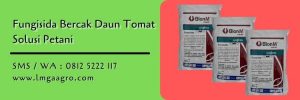 fungisida bercak daun tomat,fungisida,pestisida,obat hama,budidaya tomat,lmga agro
