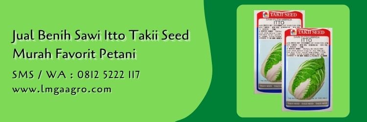 Jual Benih Sawi Itto Takii Seed Murah Favorit Petani