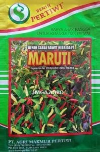 cabe maruti,cabe rawit maruti,cabe maruti f1,benih cabe rawit pertiwi,jarak tanam cabe maruti,benih cabe pertiwi,harga benih cabe rawit maruti,cabe maruti pertiwi,harga benih cabe rawit pertiwi,agri makmur pertiwi,benih pertiwi,lmga agro,produk,produk baru,produk pertiwi