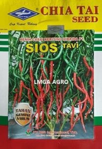 cabe sios tavi,benih cabe sios tavi, produk cabe sios tavi, bibit cabe sios tavi, cabe merah sios tavi, cabe keriting sios tavi,harga benih sios tavi,harga bibit sios tavi, cabe siso tavi murah, bisi, bisi international, chia tai seed, lmga agro