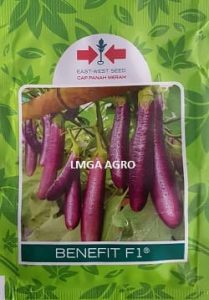 produk,terong benefit,bibit terong benefit,tanaman terong benefit,budidaya terong benefit,tanaman terong benefit,terong ungu benefit,produk baru,east west,panah merah,lmga agro,jual benih terong benefit,terong benefit murah