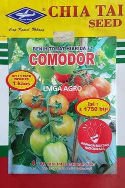 Benih Tomat Comodor F1, Tomat Comodor, Bibit tomat Comodor, Bisi, Harga Murah, Kapal Terbang, LMGA AGRO