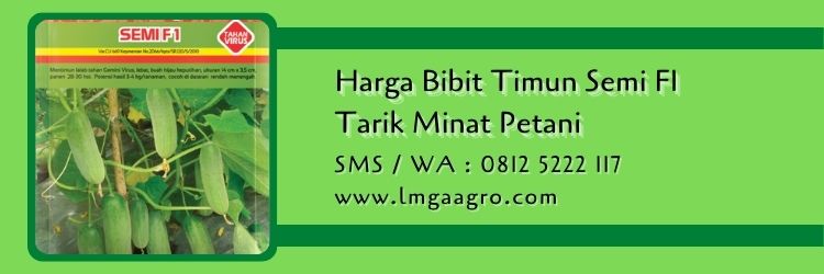 harga bibit timun semi F1,bibit timun,benih timun,bintang asia,mentimun,lmga agro