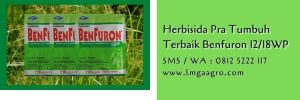 herbisida pra tumbuh terbaik,benfuron,obat rumput padi tidak mati,budidaya padi,petani,lmga agro