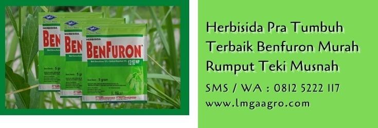 herbisida pra tumbuh terbaik,benfuron,obat rumput padi tidak mati,racun rumput,herbisida,petani.lmga agro