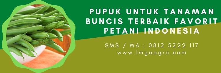 Pupuk Untuk Tanaman Buncis Terbaik Favorit Petani Indonesia