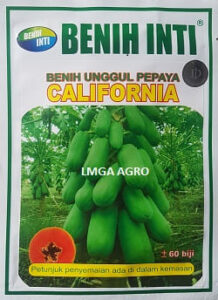 Benih, bibit, buah, tanaman, pertanian, LMGA AGRO
