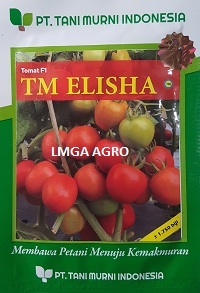 Tomat TM Elisha, TM Elisha, Benih Tomat TM Elisha, Bibit Tomat TM Elisha, Tomat Tahan Virus TM Elisha, Tani Murni, TM Seeds, Lmga Agro 