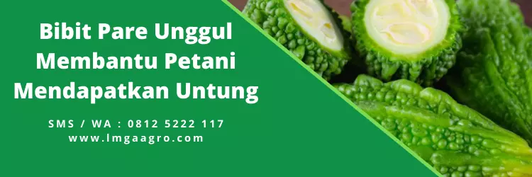 Tanaman pare, pohon pare, tumbuhan pare, budidaya tanaman pare, buah pare panjang, bibit unggul