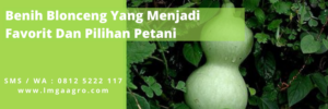cara menanam labu air, resep sayur blonceng, budidaya blonceng, jarak tanam labu air, budidaya labu air, LMGA AGRO