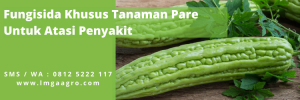 fungisida sistemik, fungisida kontak, manfaat fungisida, tumbuhan pare, sayur paria, LMGA AGRO