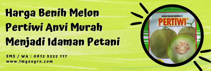 Budidaya melon pertiwi anvi, benih melon pertiwi, tumbuhan melon, tanaman buah melon, tamam melon, LMGA AGRO