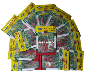 imperial ijo, benih cabe imperial ijo, bibit cabe imperial ijo, cabai imperial ijo, benih cabai imperial ijo, bibit cabai imperial ijo,bisi, bisi international, chia tai seed, cap kapal terbang, lmga agro, jual benih cabe, benih cabe imperial ijo murah