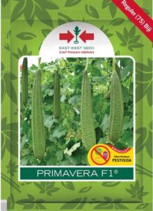 Oyong Primavera F1, Gambas Primavera, Luffa Primavera, Jual Oyong Primavera F1, Oyong Primavera F1, Oyong Primavera F1, Luffa Primavera F1, Petola Primavera F1, Jual Oyong Primavera F1, Ewindo, East West Seed, Cap Panah Merah