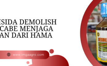 insektisida demolish 18 ec, harga insektisida demolish 200ml, manfaat insektisida demolish, bahan aktif demolish, pestisida demolish, cara pemakaian demolish untuk cabe