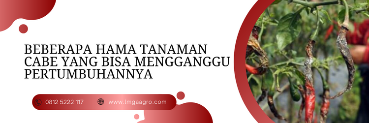 insektisida demolish 18 ec, harga insektisida demolish 200ml, manfaat insektisida demolish, bahan aktif demolish, pestisida demolish, cara pemakaian demolish untuk cabe