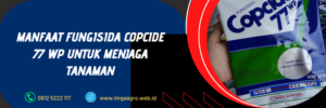 copcide 77 wp, kegunaan fungisida copcide, fungisida bahan aktif tembaga, fungsi fungisida, harga fungisida copcide 77 wp