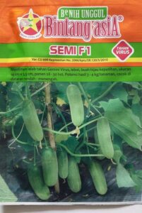 Bibit timun Semi F1, Benih timun Semi, Timun Semi, Mentimun Semi, Bibit timun Semi F1 Murah, Jual bibit timun Semi F1, Timun Semi Murah, Bintang Asia, Bintang Citra Asia, Belanja Tani
