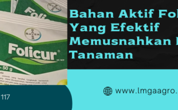 folicur fungisida, manfaat fungisida folicur, bahan aktif fungisida folicur, waktu penyemprotan folicur, folicur bahan aktif