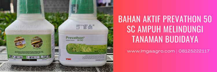 Jual Insektisida Prevathon 50 SC Kualitas Terbaik Harga Murah | LMGA AGRO prevathon insektisida, bahan aktif prevathon, prevathon 50 sc, bahan aktif insektisida prevathon, pestisida prevathon