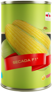 Benih Jagung Manis, Jagung Manis Secada, Benih Jagung Manis Secada, Secada F1, Benih Secada, Bibit Sevada, Panah Merah, East West Seed, PT East West Seed Indonesia, Lmga Agro, Toko Pertanian, Toko Pertanian Terdekat