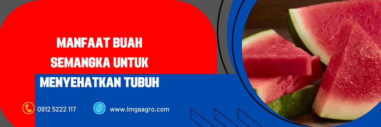 Jual Bibit Semangka Classic Kualitas Terbaik Harga Murah | LMGA AGRO bibit semangka non biji, benih semangka, semangka non biji, harga bibit semangka, bibit semangka terbaik, harga bibit semangka non biji