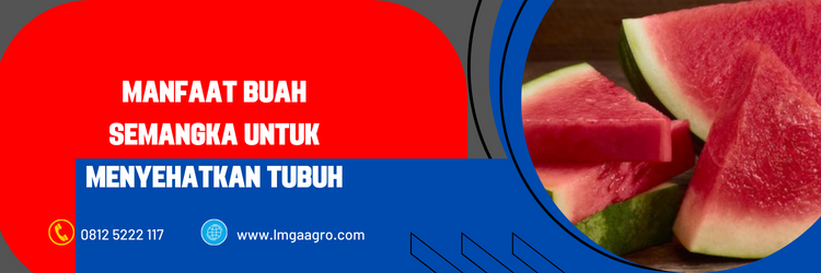 bibit semangka non biji, benih semangka, semangka non biji, harga bibit semangka, bibit semangka terbaik, harga bibit semangka non biji