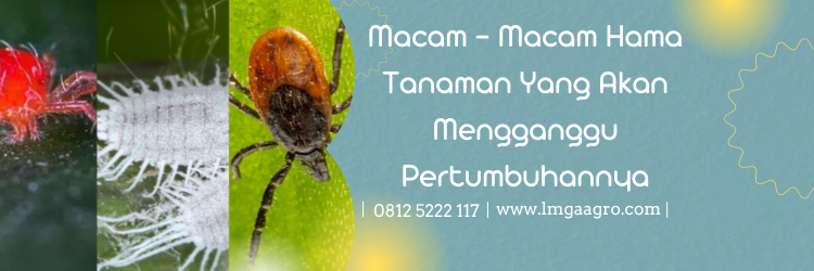 pegasus insektisida, bahan aktif pegasus, harga pegasus, pestisida pegasus, harga insektisida pegasus