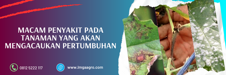 octave fungisida, manfaat fungisida, bahan aktif fungisida octave, fungisida bahan aktif prokloraz, kegunaan fungisida